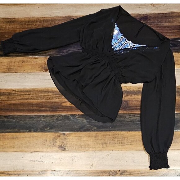 Alex Evenings Sheer Blouse Sliver Sequin Cami Elastic Waist & Cuffs Black Large - Picture 1 of 6